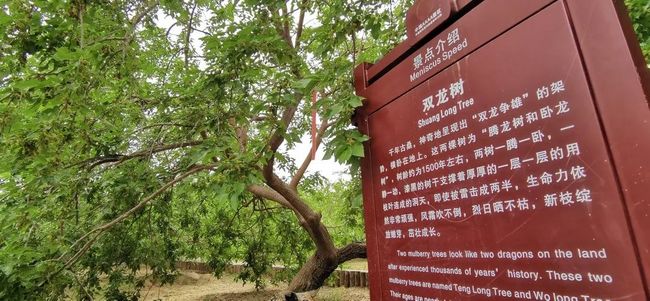 玩偶姐姐唐伯虎 正对着镜头挤眉弄眼