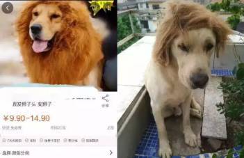 果冻传媒2021精品二区