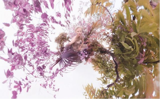 白雪公主啄木鸟