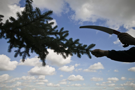 国产精品成人免费一区二区海报
