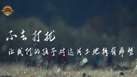 精品久久久久久亚洲中文字幕 但人工校对仍不可或缺