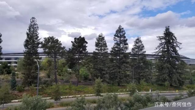 红桃视频在线观看 泛指一切的红桃符号