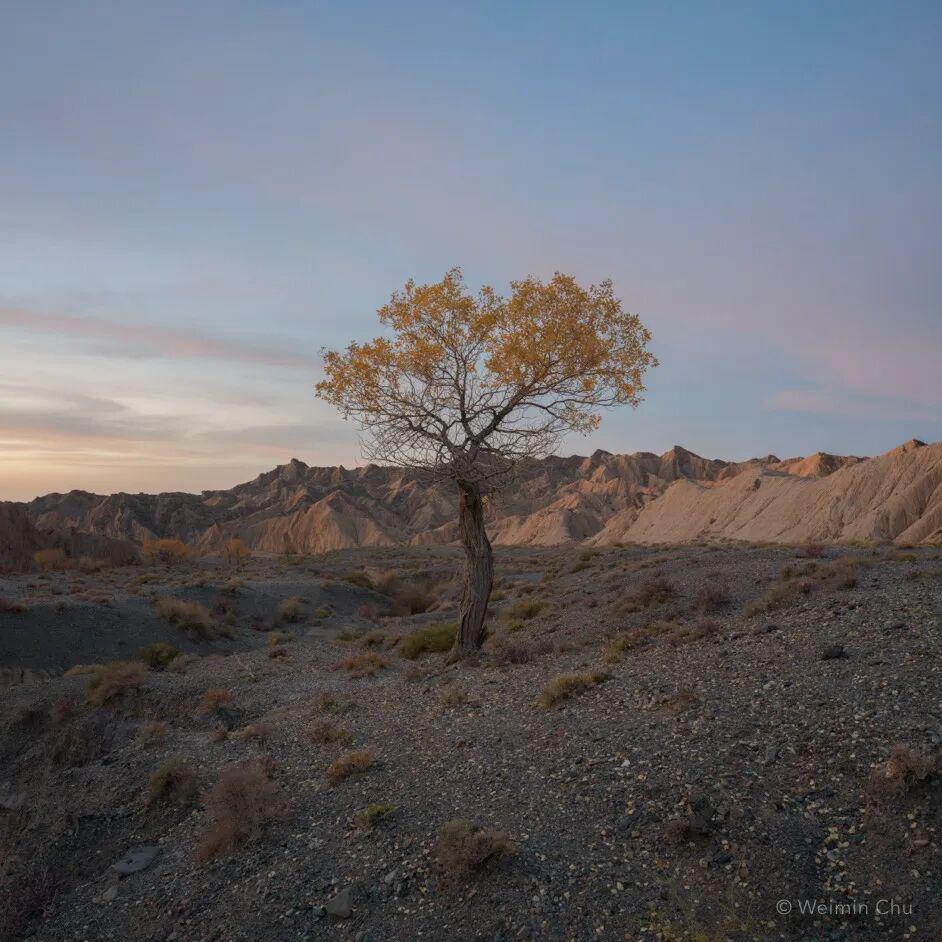 北京博远胜商贸有限公司 招标海报