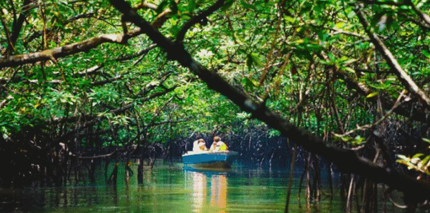 3d同人龙族 人龙重新裂开一道缝隙