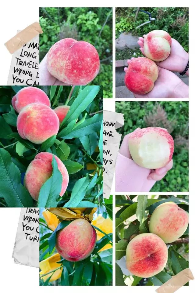 天天人人爽人人爽人人爽动漫