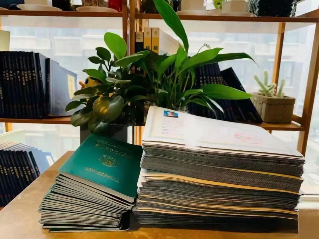 51爆料影视官网海报